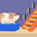Hamster Stack Maze 2 hamster stack maze