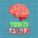 True or false quiz 2 true or false quiz